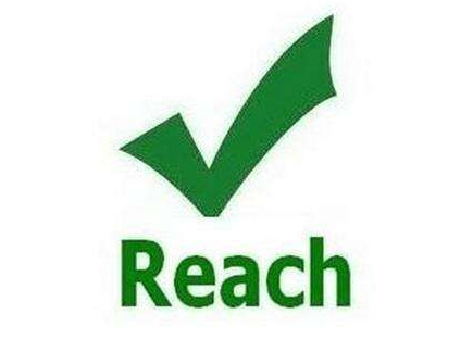 REACH检测